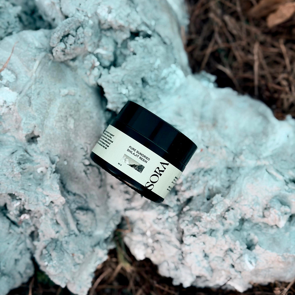 Pure Sundried Shilajit Resin